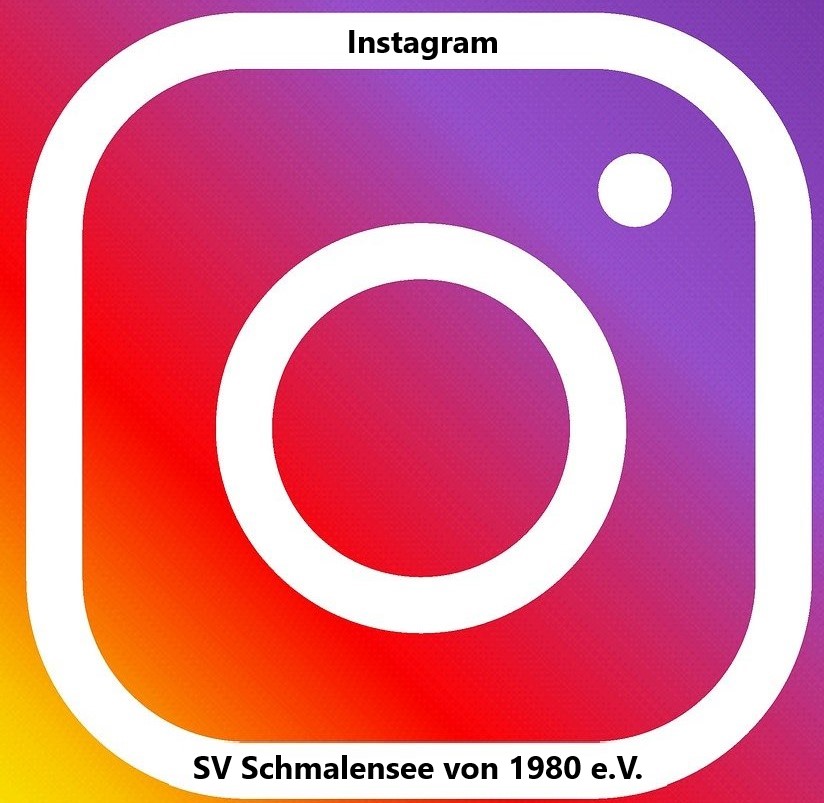 20231225 SVS Instagram Logo